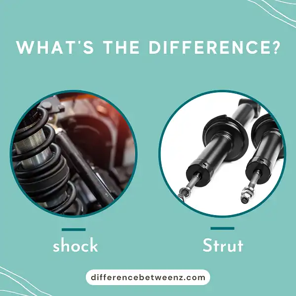 Difference between Shocks and Struts