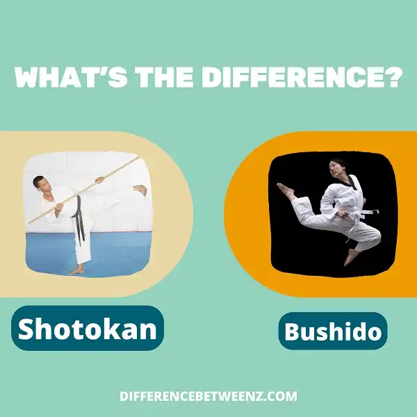 Difference between Shotokan and Bushido