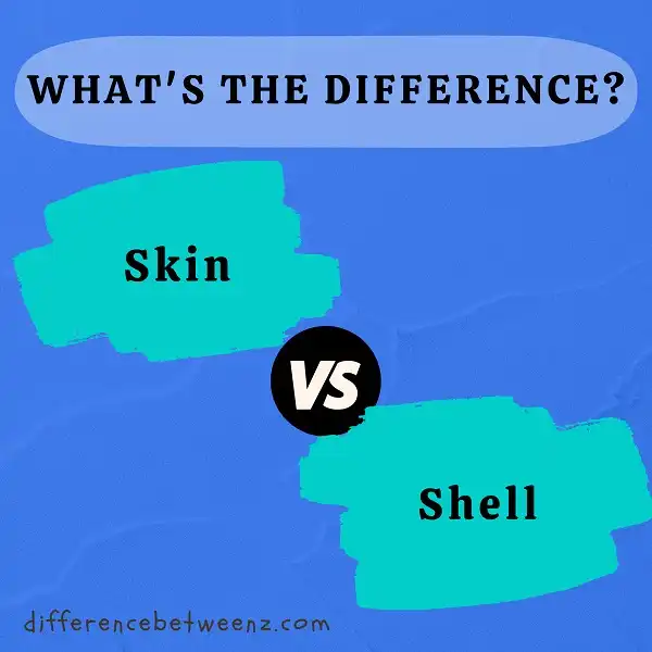 Difference between Skin and Shell