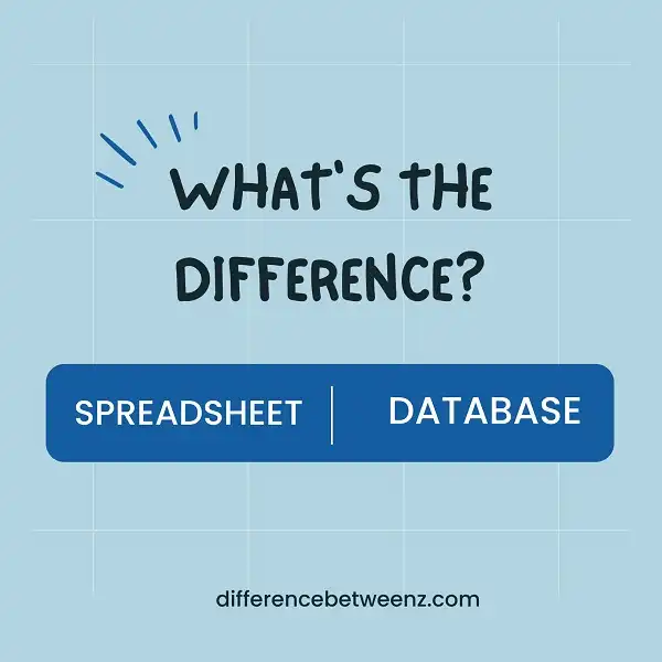 Difference between Spreadsheet and Database