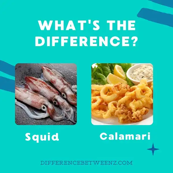 Difference between Squid and Calamari