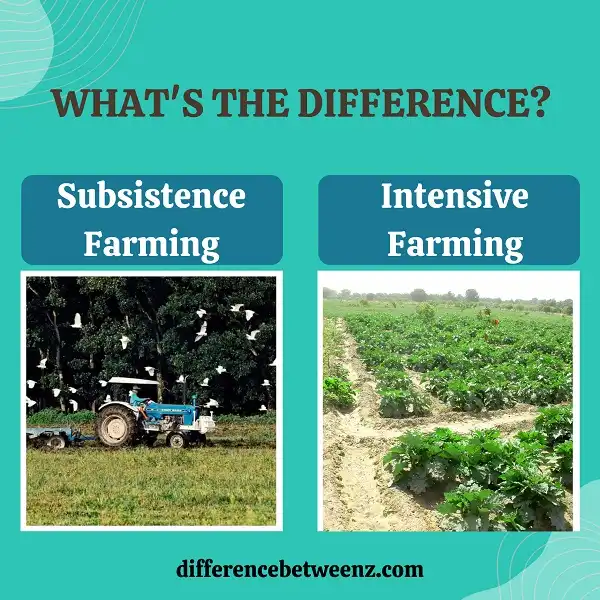 Difference between Subsistence Farming and Intensive Farming