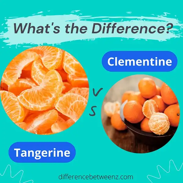 Difference between Tangerine and Clementine