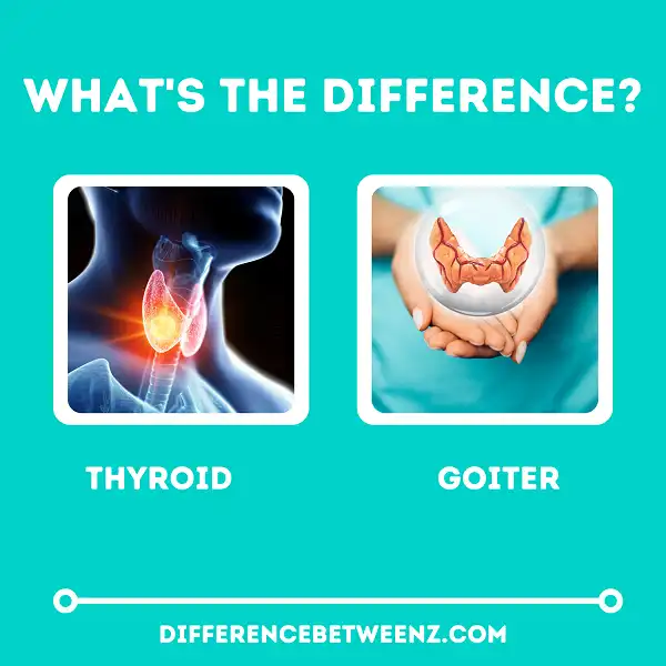 Difference between Thyroid and Goiter