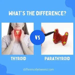 Difference between Thyroid and Parathyroid