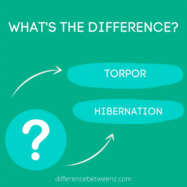 Difference between Torpor and Hibernation