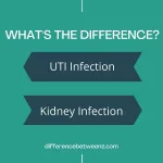 Difference between UTI and Kidney Infections