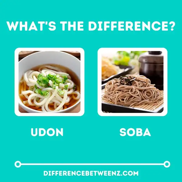 Difference between Udon and Soba