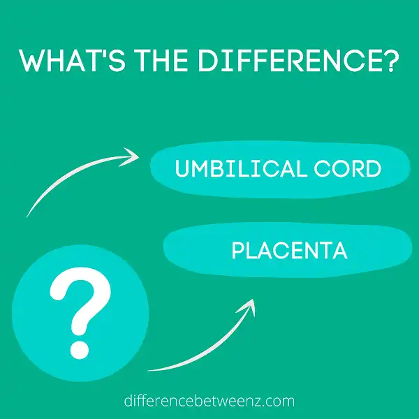 Difference between Umbilical Cord and Placenta
