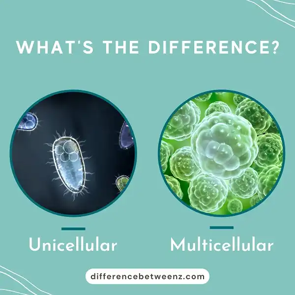 Difference between Unicellular and Multicellular