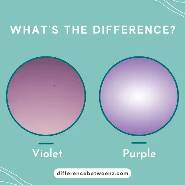 Difference between Violet and Purple