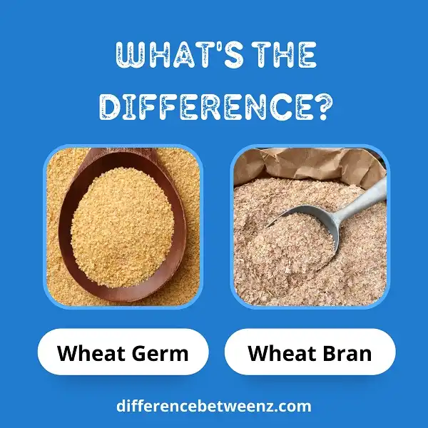 Difference between Wheat Germ and Wheat Bran