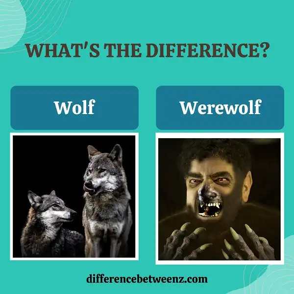 Difference between Wolf and Werewolf