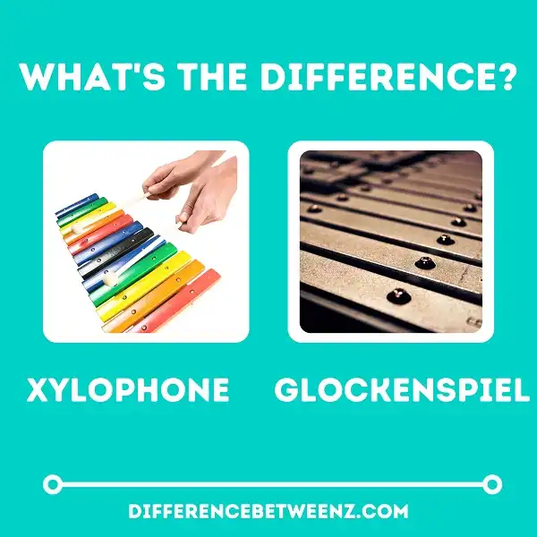 Difference between Xylophone and Glockenspiel