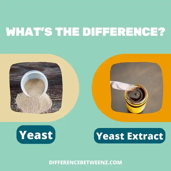 Difference between Yeast and Yeast Extract