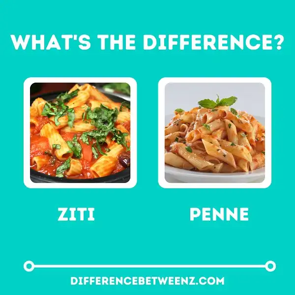 Difference between Ziti and Penne