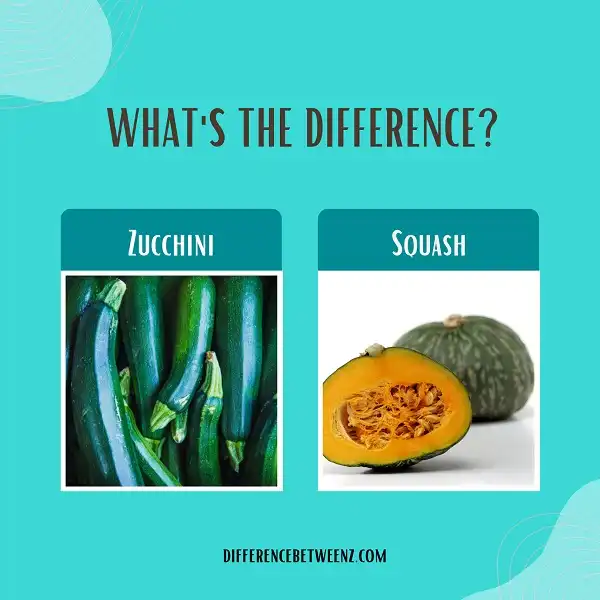 Difference between Zucchini and Squash