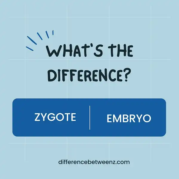 Difference between Zygote and Embryo