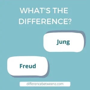 Differences between Jung and Freud