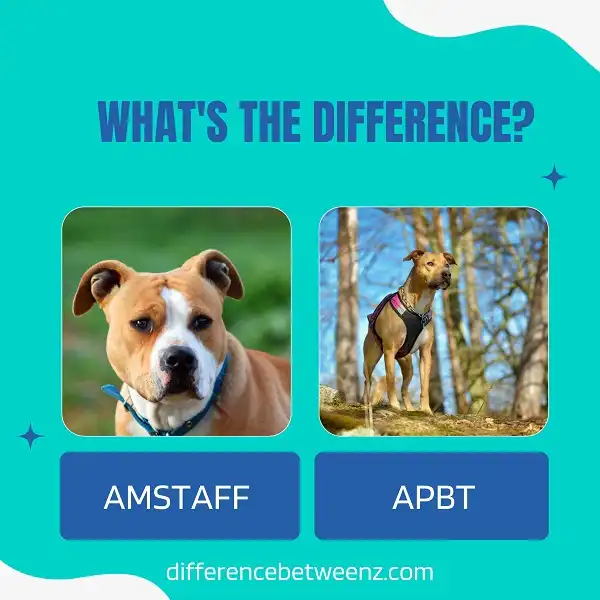 Difference between AMSTAFF and APBT