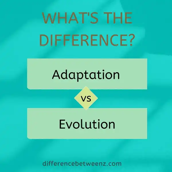 Difference between Adaptation and Evolution