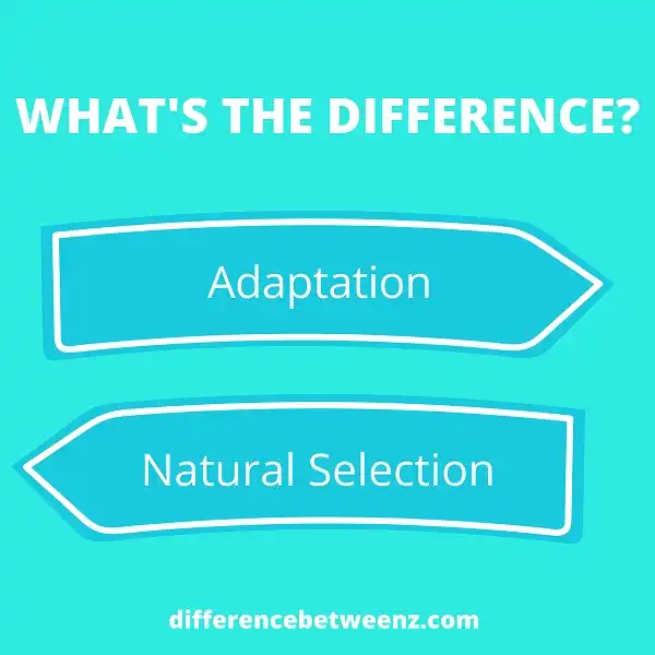 Difference between Adaptation and Natural Selection