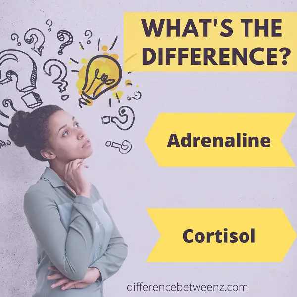 Difference between Adrenaline and Cortisol