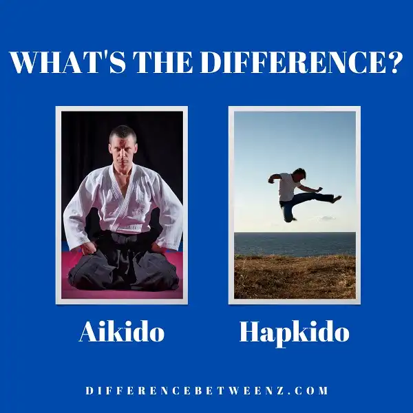 Difference between Aikido and Hapkido