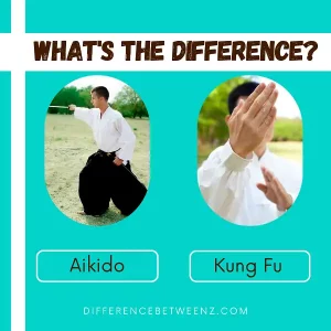 Difference between Aikido and Kung Fu