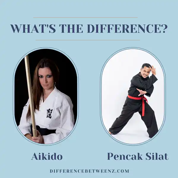 Difference between Aikido and Pencak Silat