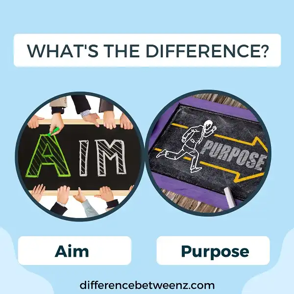 Difference between Aim and Purpose