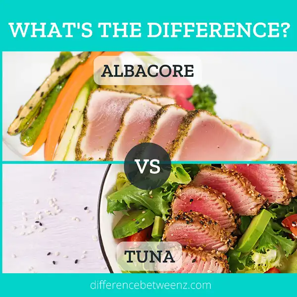 Difference between Albacore and Tuna