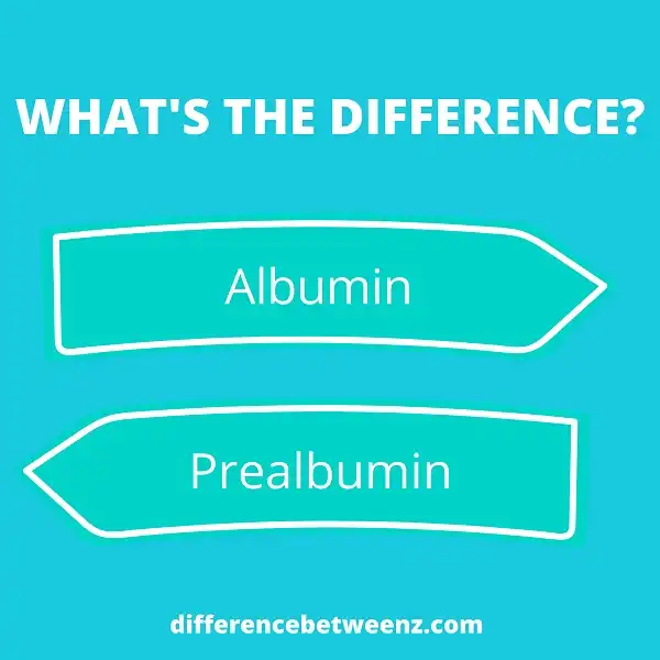 Difference between Albumin and Prealbumin