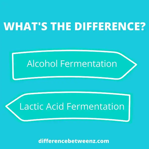 Difference between Alcohol and Lactic Acid Fermentation