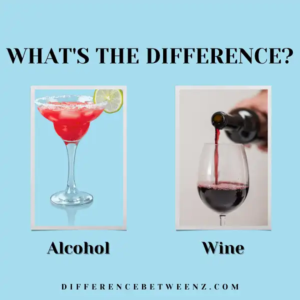 Difference between Alcohol and Wine