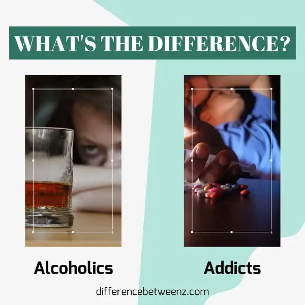 Difference between Alcoholics and Addicts
