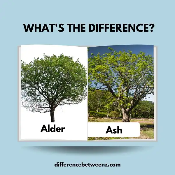 Difference between Alder and Ash