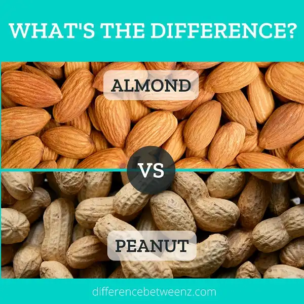 Difference between Almonds and Peanuts