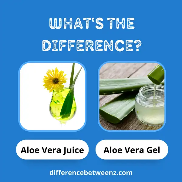 Difference between Aloe Vera Juice and Gel