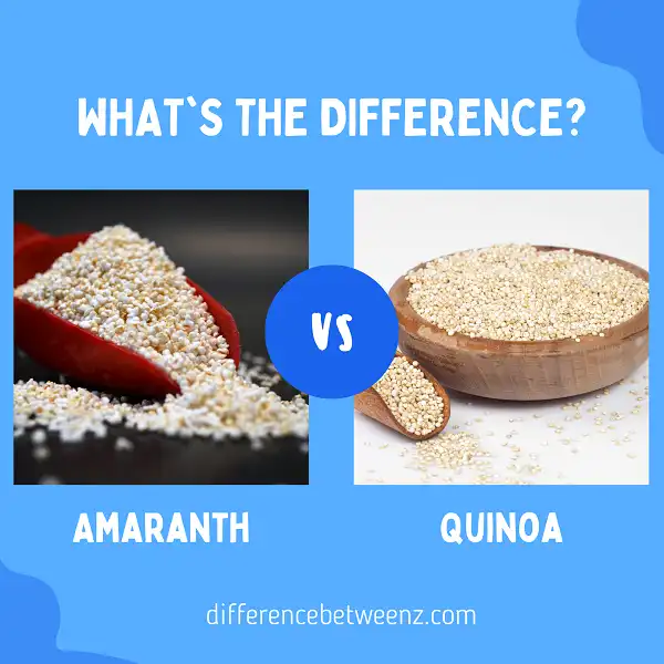 Difference between Amaranth and Quinoa