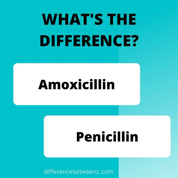 Difference Between Amoxicillin And Penicillin Difference Betweenz