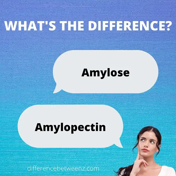 Difference between Amylose and Amylopectin