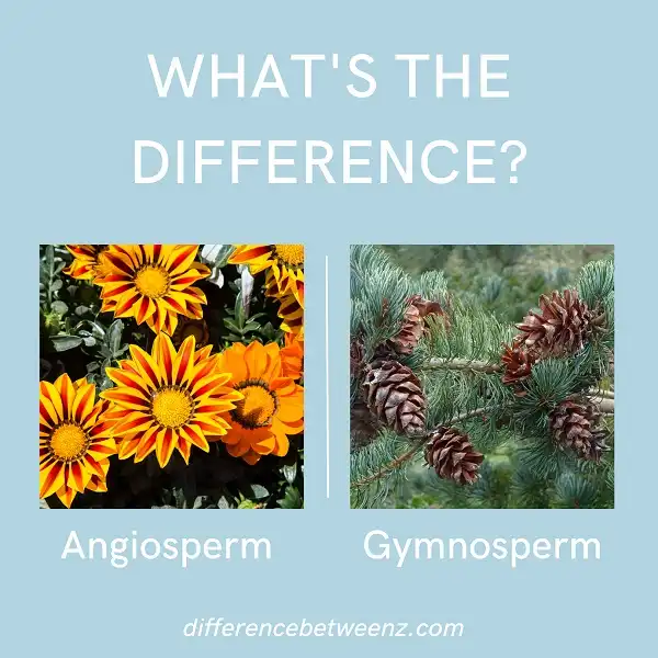 Difference between Angiosperms and Gymnosperms