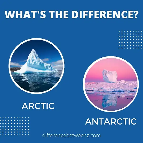 Difference between Arctic and Antarctic