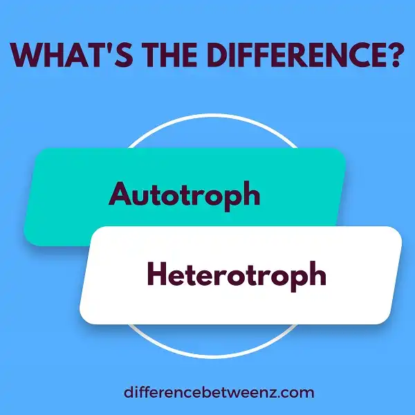 Difference between Autotrophs and Heterotrophs