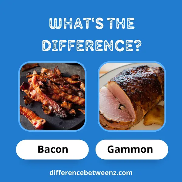 Difference between Bacon and Gammon