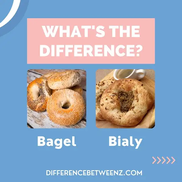 Difference between Bagel and Bialy