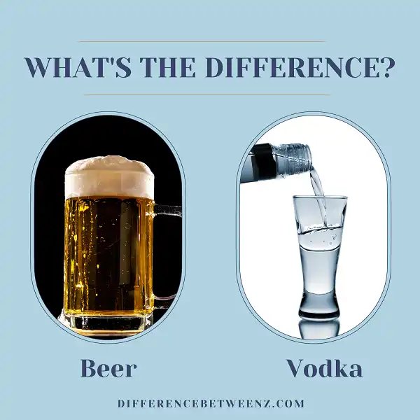 Difference between Beer and Vodka