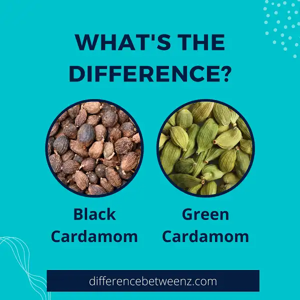 Difference between Black and Green Cardamom