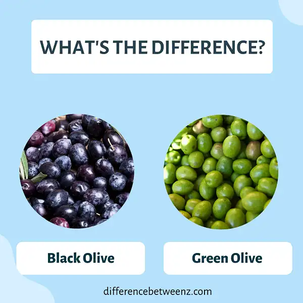 Difference between Black and Green Olives